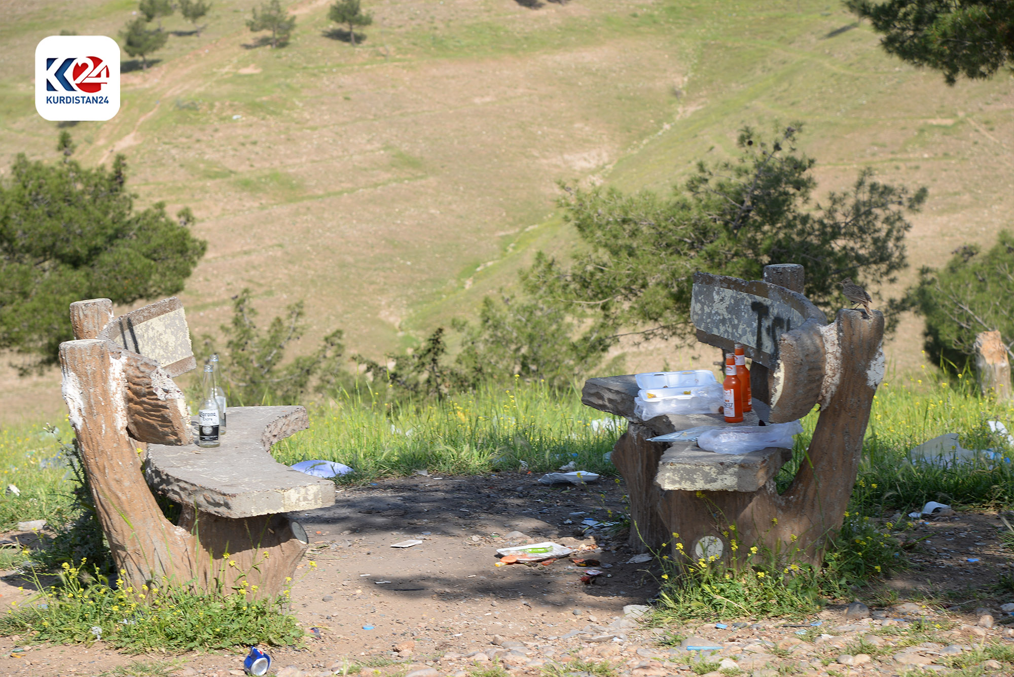 Volunteers participated in cleaning one of the tourist resorts. (Photo: Kurdistan 24)